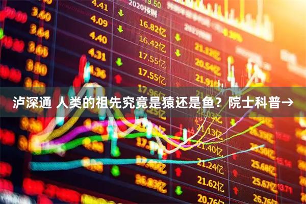 泸深通 人类的祖先究竟是猿还是鱼？院士科普→