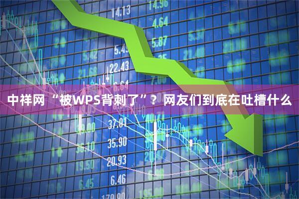 中祥网 “被WPS背刺了”？网友们到底在吐槽什么